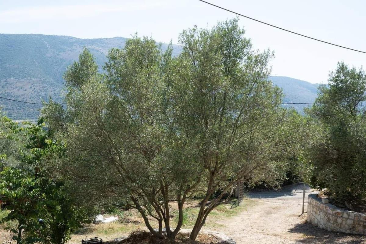 Catherine'S House Igoumenitsa Esterno foto